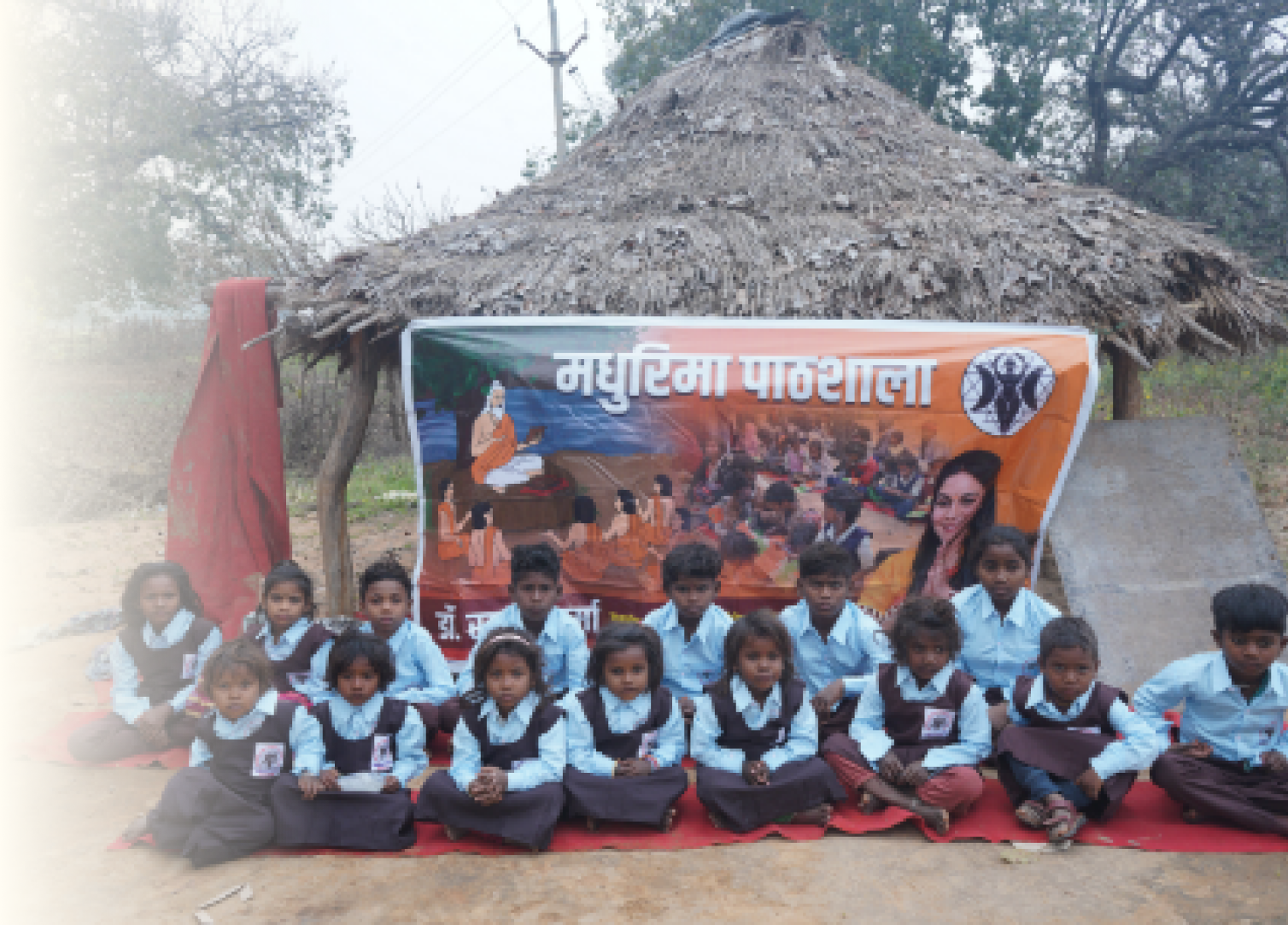 Constituency Image